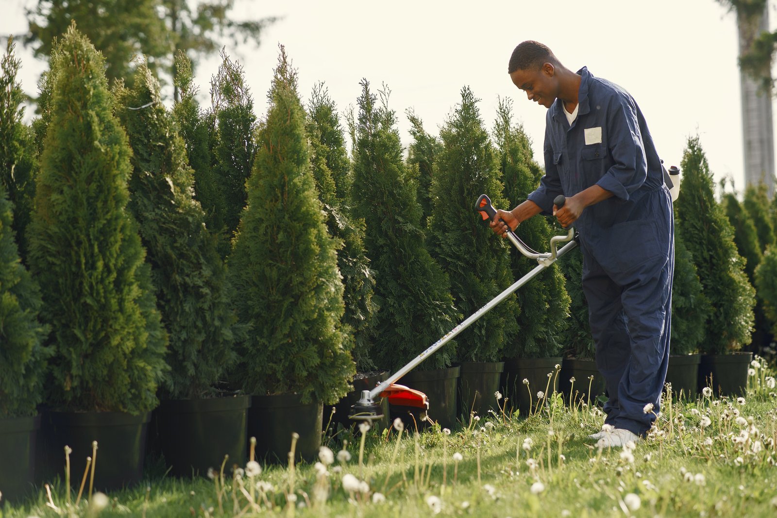 Illustrative Landscaping image 4