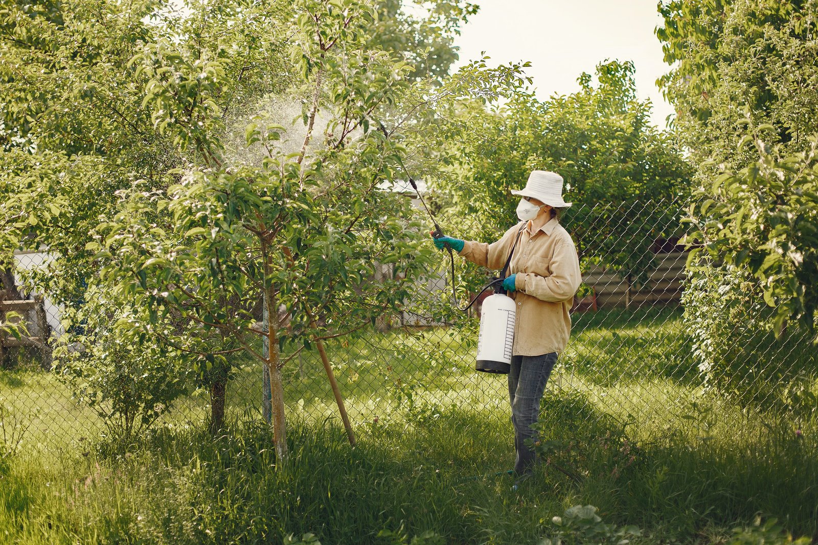 Illustrative Pest Control image 1